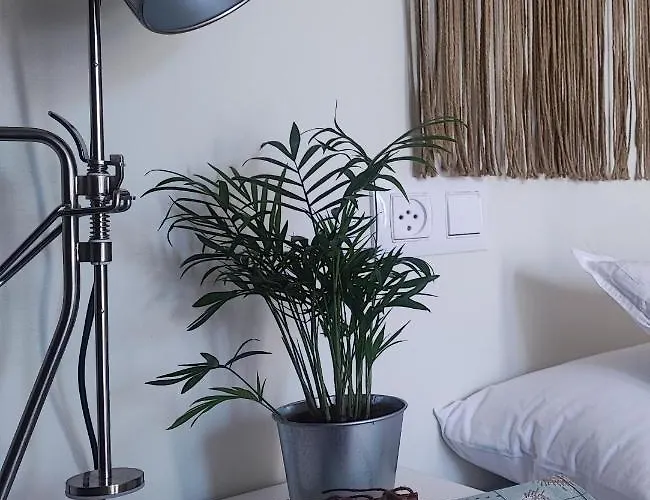 別荘 Casa Baixo O Castelo Ponte Caldelas